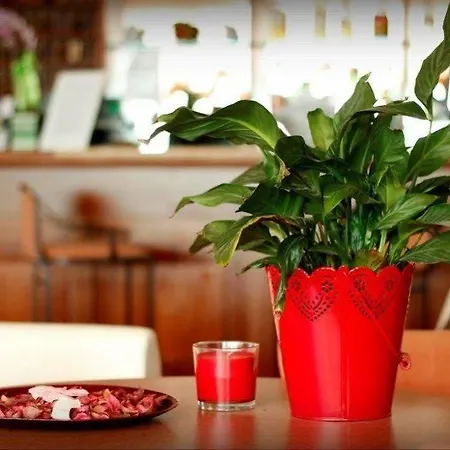 Отель Expo Fiera Jasmine