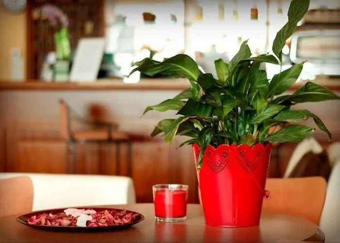 Hotel Expo Fiera Jasmine